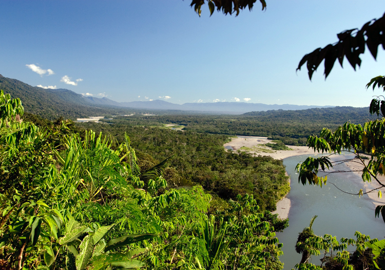 Parc national Manu, sanctuaire de la biodiversité au Pérou